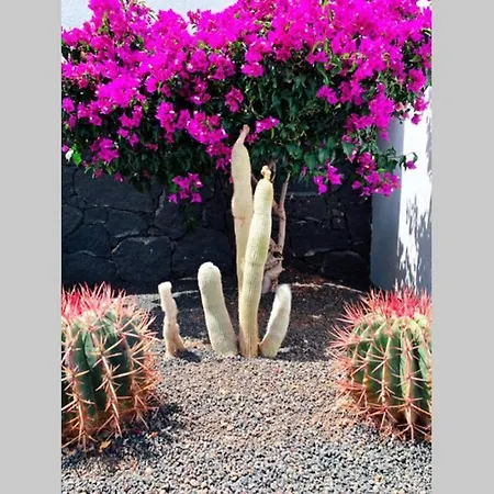 Vila Papagayo Relax *